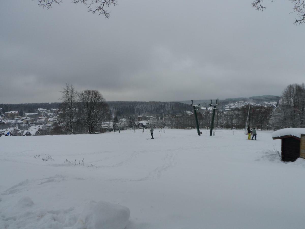 Ferienwohnung Ortlieb Braunlage Bagian luar foto